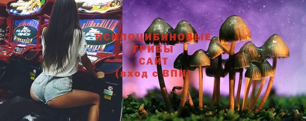 кокаин Алексеевка