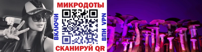 Галлюциногенные грибы GOLDEN TEACHER Звенигово