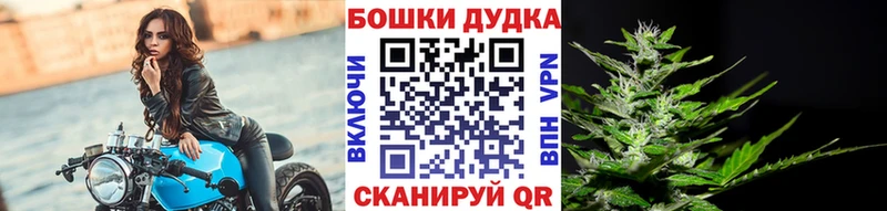 купить наркоту  Звенигово  Конопля марихуана 